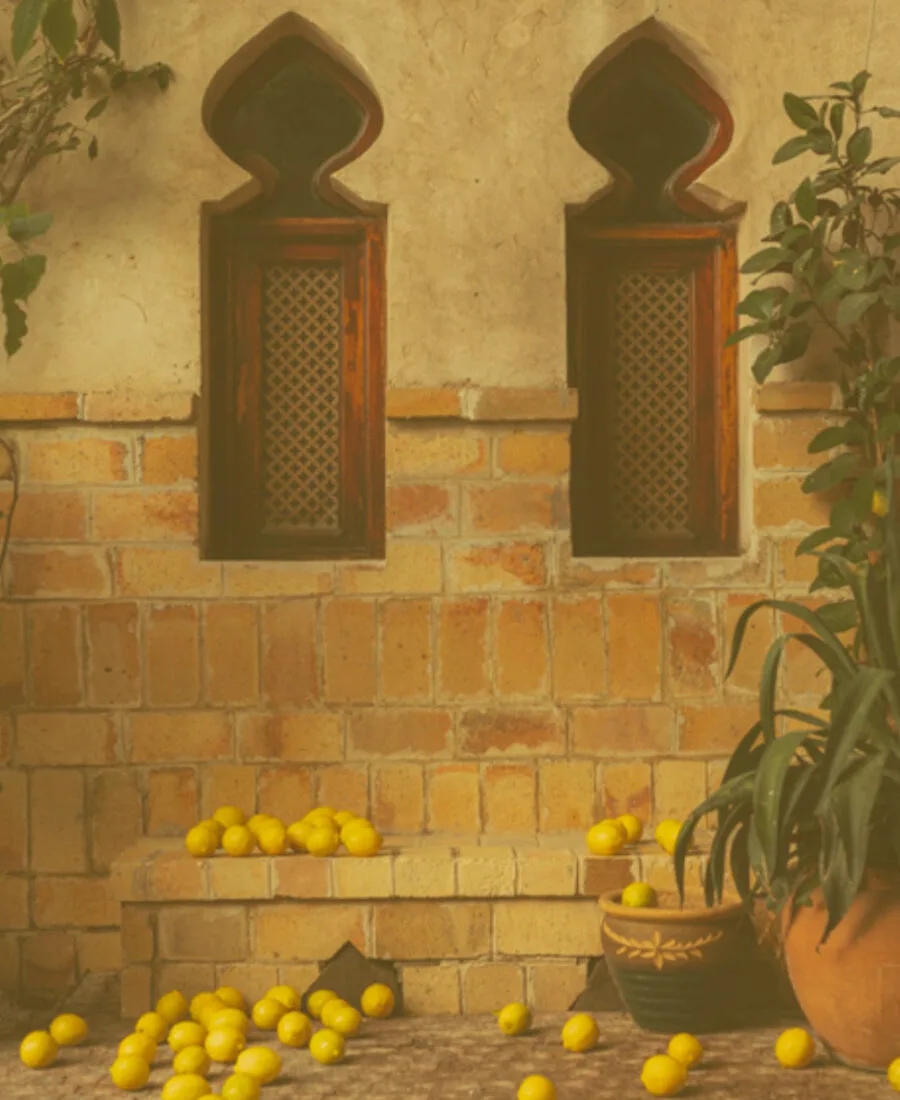 Algarve lemons from Céu da Terra